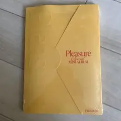 【新品/未開封】TREASURE Pleasure