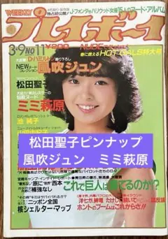 松田聖子　ピンナップ　付き　ミミ萩原　風吹ジュン　週刊　プレイボーイ