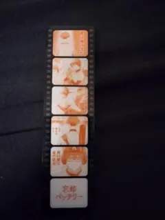 忘却バッテリー 21巻 特典 フィルム風しおり 千早