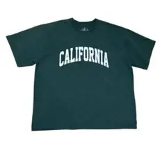 CALIFORNIA ヘビーウェイトTシャツ　肉厚　短丈　グリーン　Lサイズ