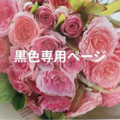 ご確認用黒色専用ページ