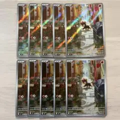 シシコ ar 10枚セット