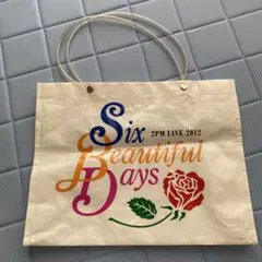 2PM LIVE 2012 Six Beautiful Days バック