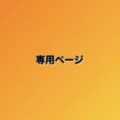 専用ページ