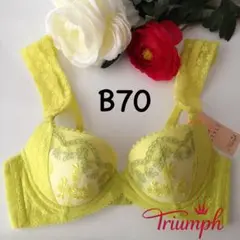 トリンプアモスタイルノスタルジックデイジー きゅっと寄せブラB70
