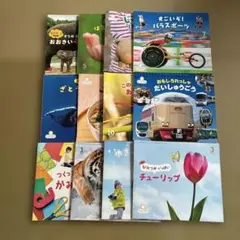 サンチャイルド ビッグサイエンス 36冊セット サンチャイルド・ビッグサイエンス36冊