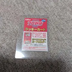 カルビープロ野球チップス2025 第1弾 ラッキーカード