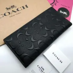 Item thumbnail for item 966451e8-39bd-4617-bfbe-ff5394a90a41