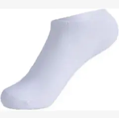 Item thumbnail for item d0d0c3a0-ea6f-45a3-bd61-3505d555455b