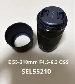 Item thumbnail for item f46ed13a-3586-4881-afd7-9ad78dd5a52c