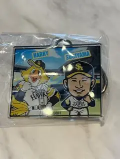 ファイト九州　若鷹ガチャ　ホークス　レア　福岡ver アクキー 杉山一樹