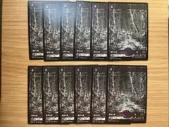 MTG 沼 ショーケース日本語版 12枚セット