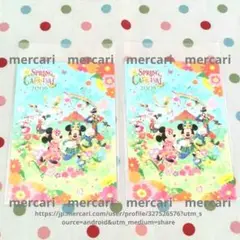 ディズニーシー　2009年　スプリングカーニバル　ポストカード2枚　未使用