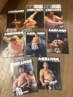 大相撲 パンフレット 取組表 8冊セット 冊子