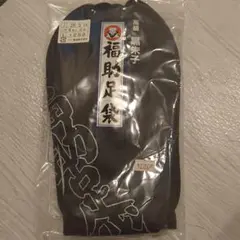 Item thumbnail for item f3c6a767-8c65-4f5b-b09c-4bbe29a59829