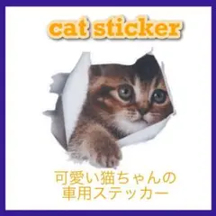 3D カーステッカー 茶色 猫 シール カー用品 車体