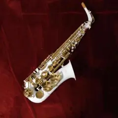 お買い得　早い者勝ち　Soleil アルトサックス ゴールド 即使用可能 Amazon.co.jp: Alto Saxophone 11-Piece Set, Gold Lacquer with