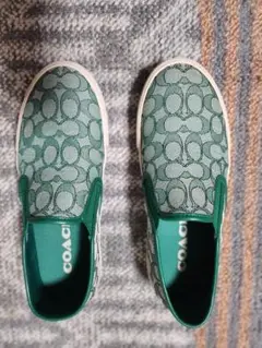 Item thumbnail for item 24a7ebd5-f812-4724-96d4-1aa89b574419