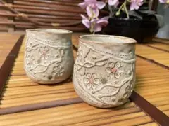 Item thumbnail for item 6c979424-3485-434e-a795-27a4fc0ce55b