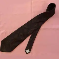 Revillon 100%シルク ペイズリー柄 ネクタイ