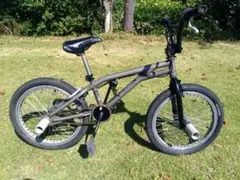 BMX 20インチ dragonfly DF 愛知 引き取り限定