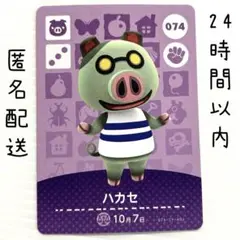 ハカセ 074 amiiboカード あつまれどうぶつの森　あつ森
