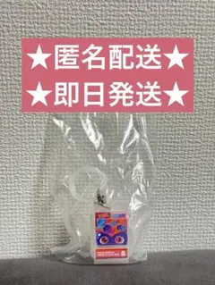 仮面ライダーめじるしアクセサリー2 ポッピングミゴチゾウ！