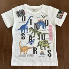 恐竜　ダイナソー　男の子