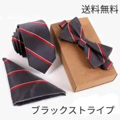 3点セット 蝶ネクタイ ポケットチーフ ネクタイ 結婚式 披露宴 パーティー