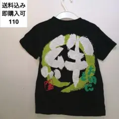 Item thumbnail for item 489d0075-e5cf-4d2c-893c-719cd5a9aa65