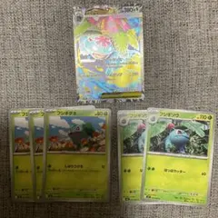 メガフシギバナex 進化ライン