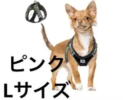 Item thumbnail for item 095c8ac0-1add-49be-855d-64a3deecb79a