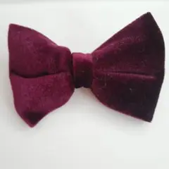 Item thumbnail for item dcaa3a1d-d66b-4a50-bb1c-97a28d9696a7