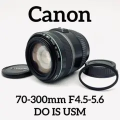 Item thumbnail for item b2c59e7e-dadb-4289-aefd-28eedf7b3c4a