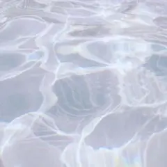 専用