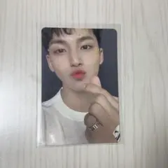 SEVENTEEN 舞い落ちる花びら ミンギュ トレカ