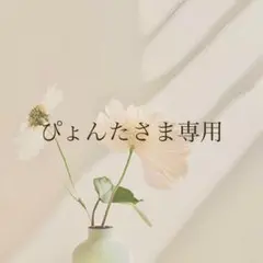 ぴょんたさま専用ページ