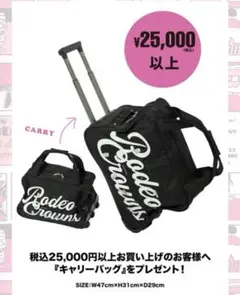 2025年最新】rodeocrowns キャリーの人気アイテム - メルカリ
