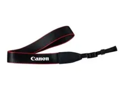 Item thumbnail for item 713e6422-eed4-476f-8c7b-02ffa4ddfa79