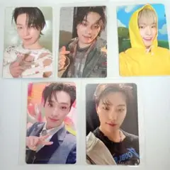 SEVENTEEN ディノ DINO トレカ セット まとめ売り 5枚