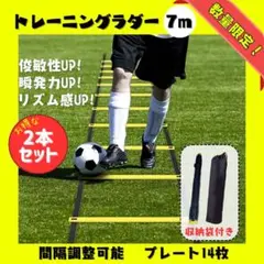トレーニングラダー 2個セット 約7メートル 14枚プレート付き