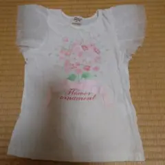 最終セール！！　ピューピルハウス　チュール袖カットソー110