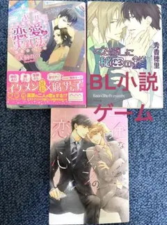 BL小説　ゲーム関係