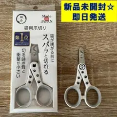 Item thumbnail for item a34801e8-9076-451e-9b91-ecd39b6619c8