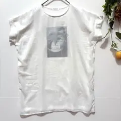 【ANNA LUNA】カットソー　半袖シャツ　レース　ホワイト　訳あり　M