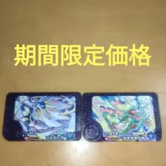 ポケモンフレンダベストタッグスーパートレジャー　ソルガレオ　カミツオロチ
