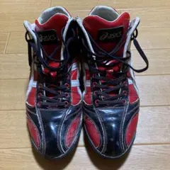 アシックスのオーダートレーニングシューズ 28.5