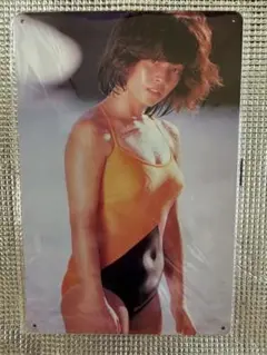 未開封　柏原芳恵　オマージュアルミプレートブリキ看板①セクシー　かわいい