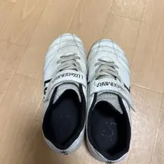 LUZ フットサルシューズ ホワイト21.5
