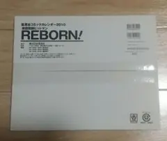 未開封■家庭教師ヒットマンREBORN　2010年　コミックカレンダー　ツナ雲雀